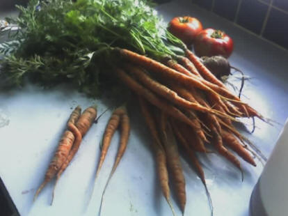 carrotsandtomatoes